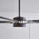 Penton Ceiling Fan with LED Lights