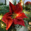 274cm Lighted Garland with Lights