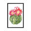 « cactus fleuri iii » par grace-pop, reproduction d’art-49904740-49904734
