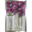 " Tuscan Light " by Susan Jill-30731753-106013766