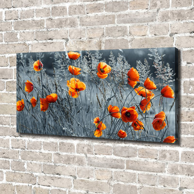 Field Poppy - Wrapped Canvas Print