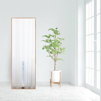 Modern Full Length Vanity Mirror 