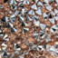 Napperon Sparkles Home Luminous-62009172