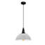 Aarika 1 - Light Dome Pendant-2135820571