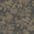 Gris anthracite / or