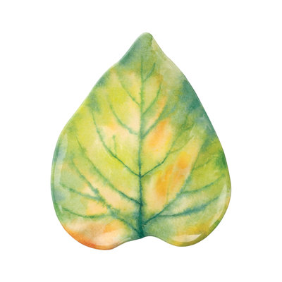 Chmura Birch Leaf 9.5" Melamine Salad Plate