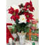 Arrangement de fleurs mixtes-24614513