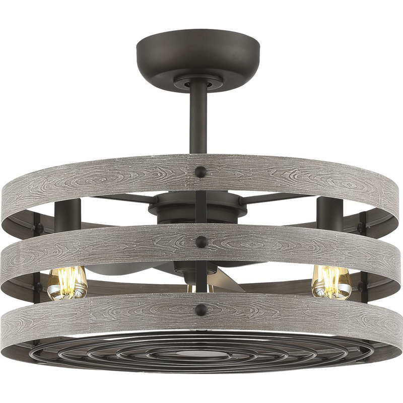 Gulliver 23.5'' Ceiling Fan with Light Kit, Graphite