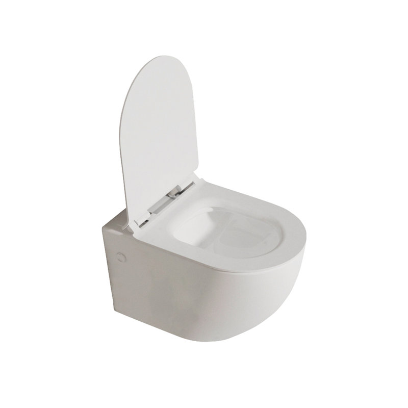 Aric Wall-Hung Fully Skirted Elongated Toilet With Hidden Flush Tank