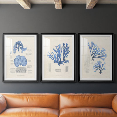 Blue Marine Algae IV - reproduction encadrée sur mesure de qualité supérieure mate - 3 pièces