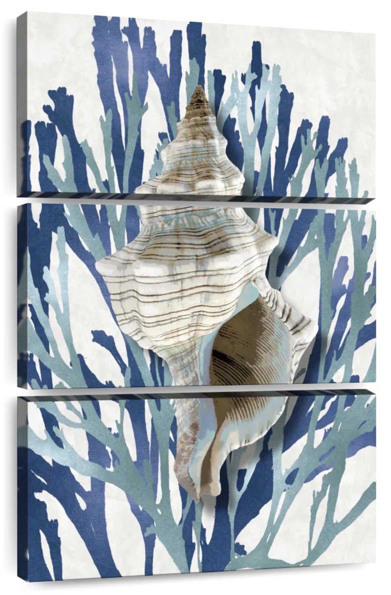 Breakwater Bay Shell Coral Aqua Blue III - Wayfair Canada