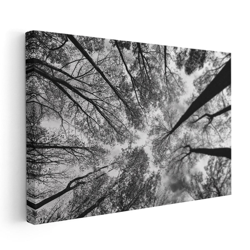 «Look Up I Black and White», reproduction d'art sur toile, H 12 po x l 18 po