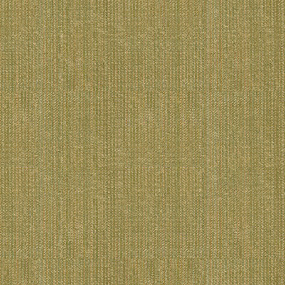 Parris Rayon Performance Fabric