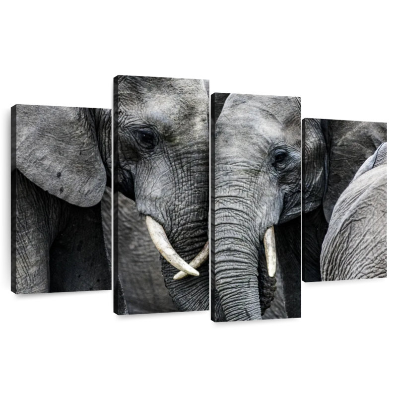Sweet Elephants, H 22 po x l 36 po