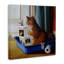 Litière lisant un chat amusant par Lucia Heffernan - Peinture-1253144059-1253144060