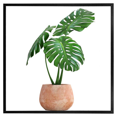 Gottberg Monstera Single Picture Frame Wall Art