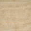 Solid Colour Standard Area Rug-824372734