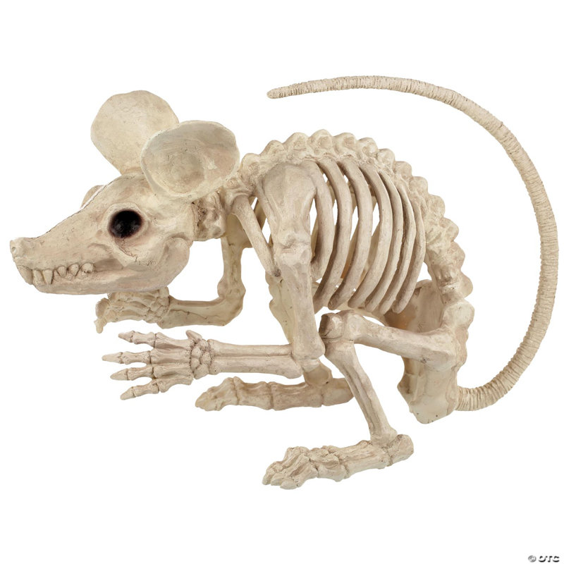 21.5 Inch Rat Attack Skeleton Decoration