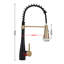 Belfry Kitchen Pull Out Kitchen Faucet-659808312