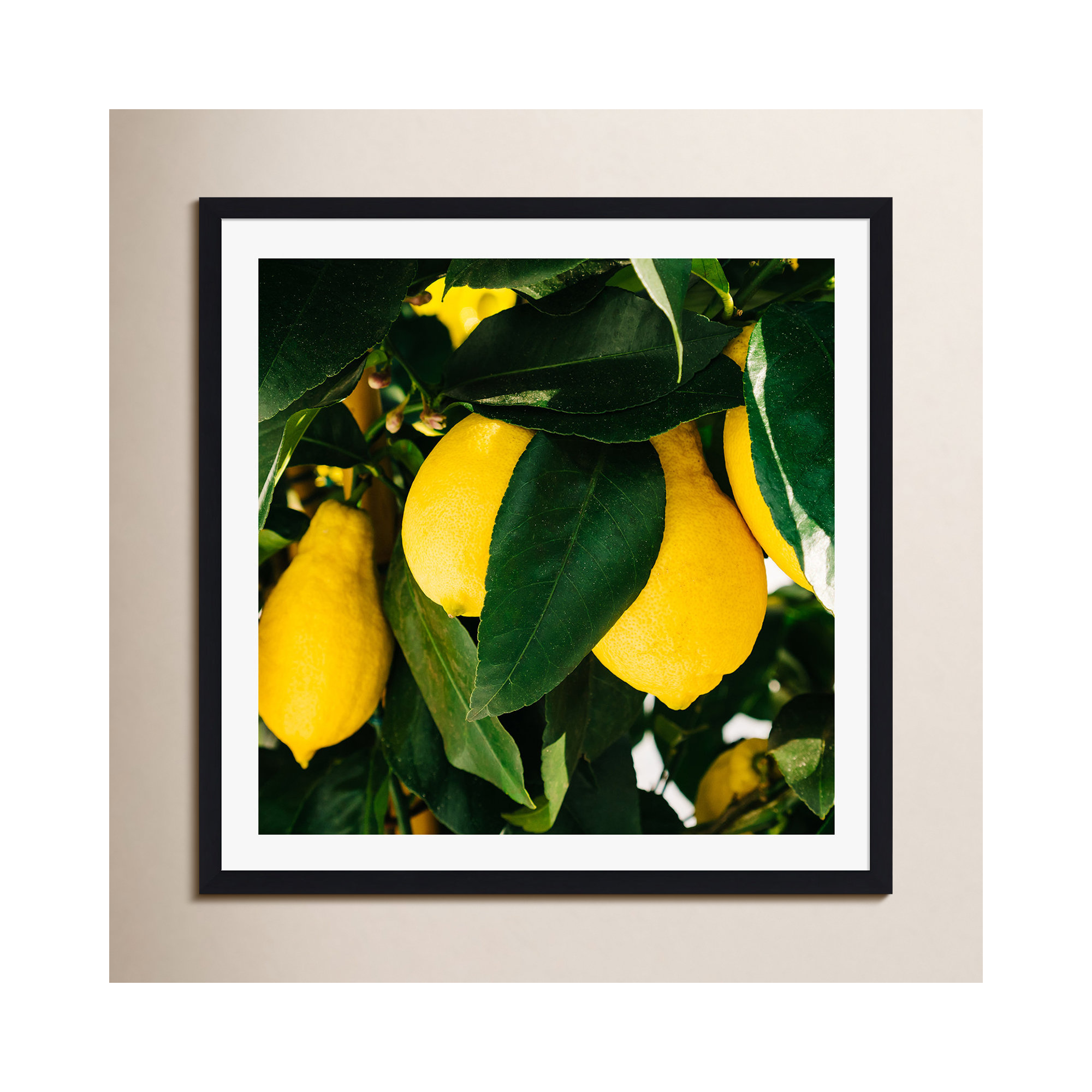 Amalfi Coast Lemons by Bethany Young Photography, Black Floater Framed, No, 12" H x 12" W x 2" D