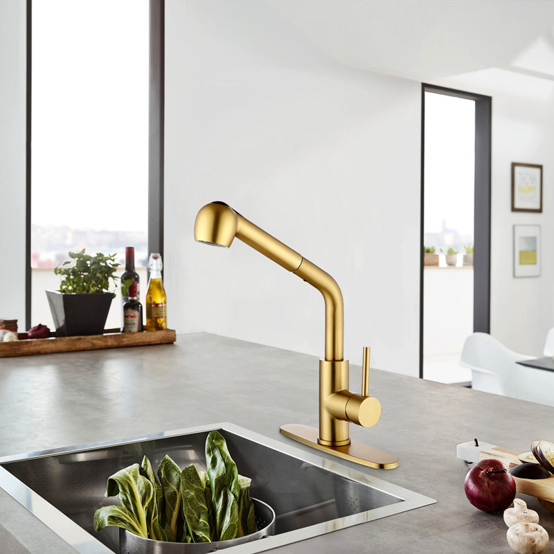 Utility Sink Faucets Single-Handle Pull-Out Laundry Faucet With Dual Spray Function In Stainless Spot Resistant