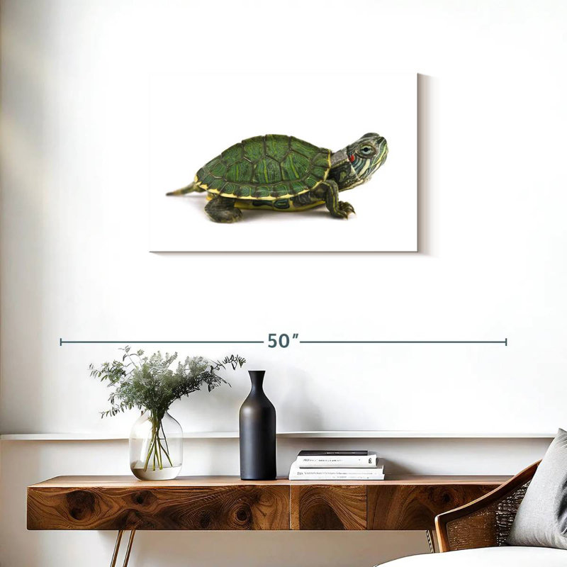 Red Eared Turtle, 20" H x 30" W