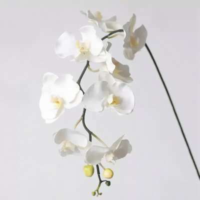 Real Touch Phalaenopsis Orchid Stem