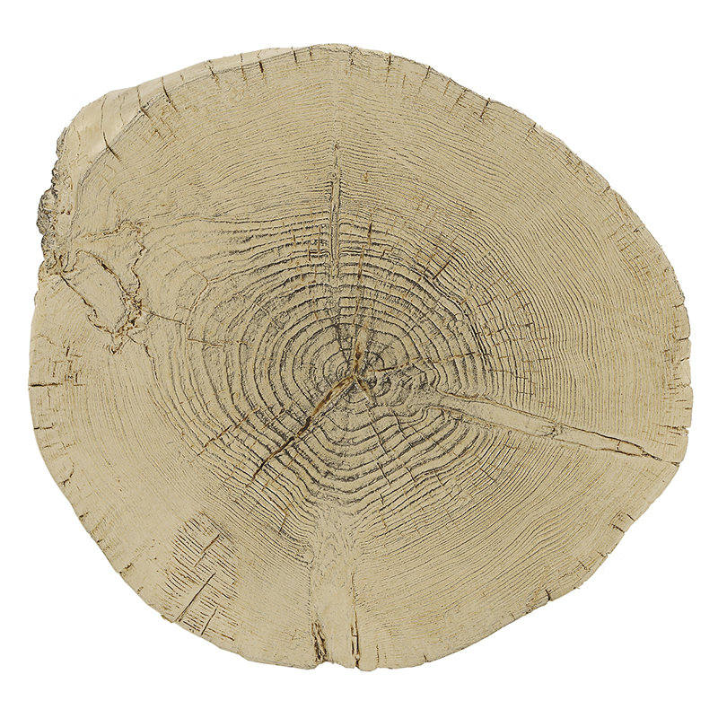 Anacani Accent Table