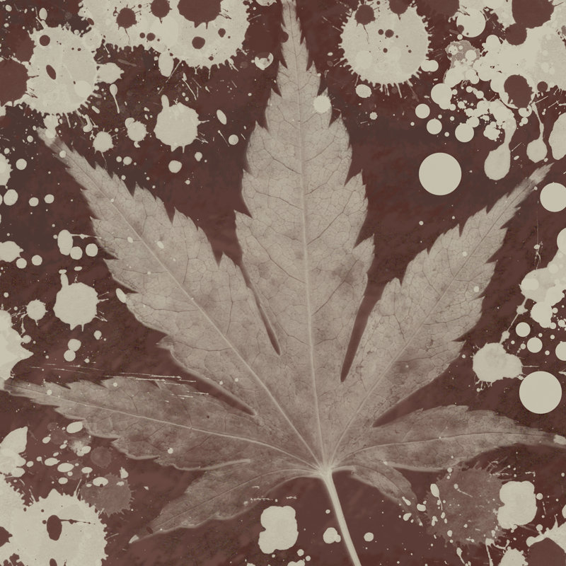Botany Expressions IV by Irena Orlov - Wrapped Canvas Print, 51cm H x 51cm W