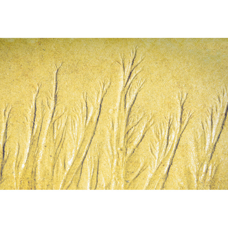 Paysage de sable Ebb and Flow 30 x 40