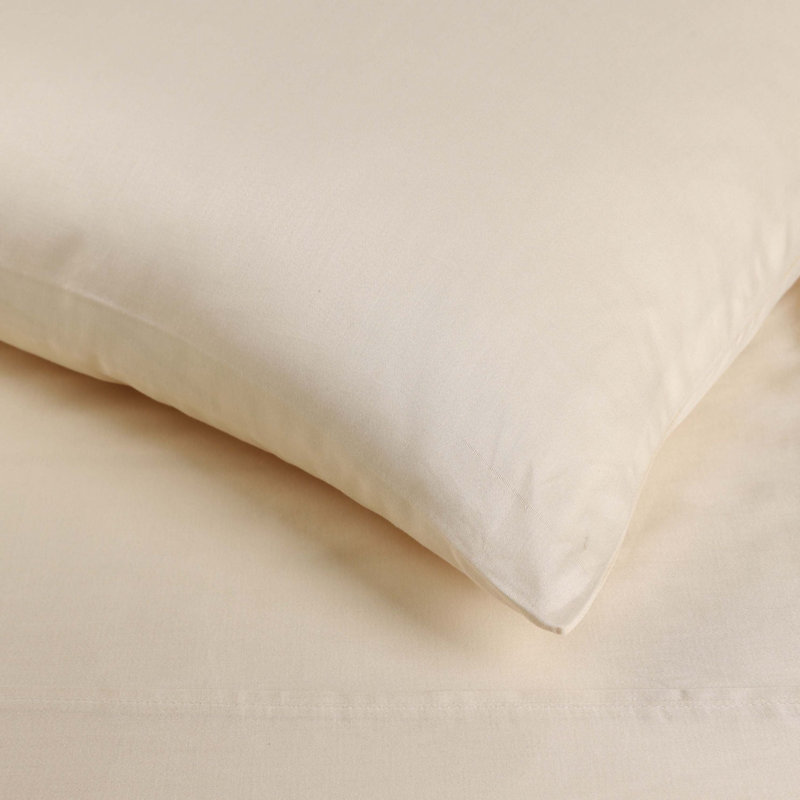 Adori Cassius Certified Egyptian Cotton 400 Thread Count Solid Luxury Pillowcase Set, King, Ivory