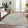Machine Washable Indoor/Outdoor Claudian ACN1677 Taupe Rug