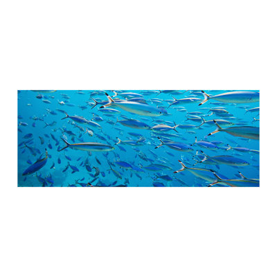 Coral Fish - Wrapped Canvas Print