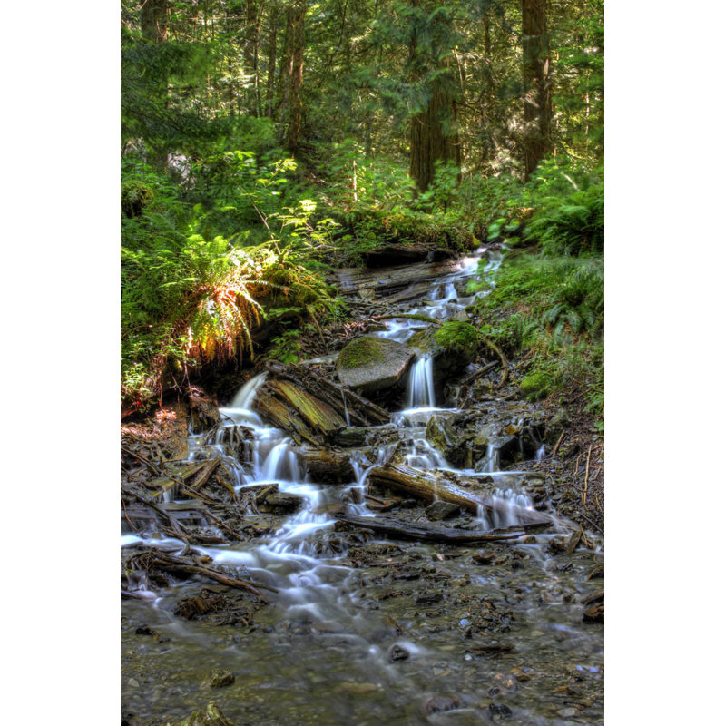 Landscape & Nature Non-Wall Damaging Wall Decal, 72" H x 48" W