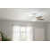 Champlain 52'' Ceiling Fan with LED Lights