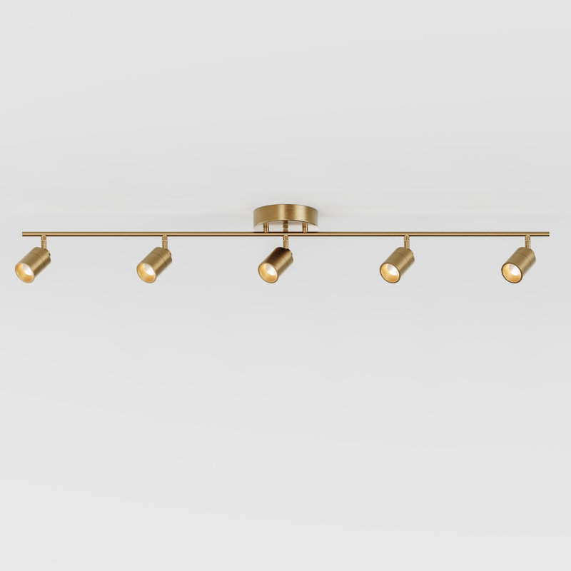 Shura 48" Brushed Brass LED Track Light with Adjustable Heads