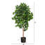 Arbre ficus artificiel en pot-521621003