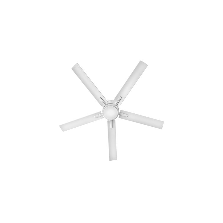 Vail Flush 52" Indoor/Outdoor Smart Ceiling Fan with Integrated LED + HIRO Remote