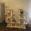 Customer photo 2 of 4