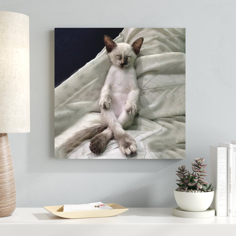 Cat Yoga II, H 20 po x l 20 po