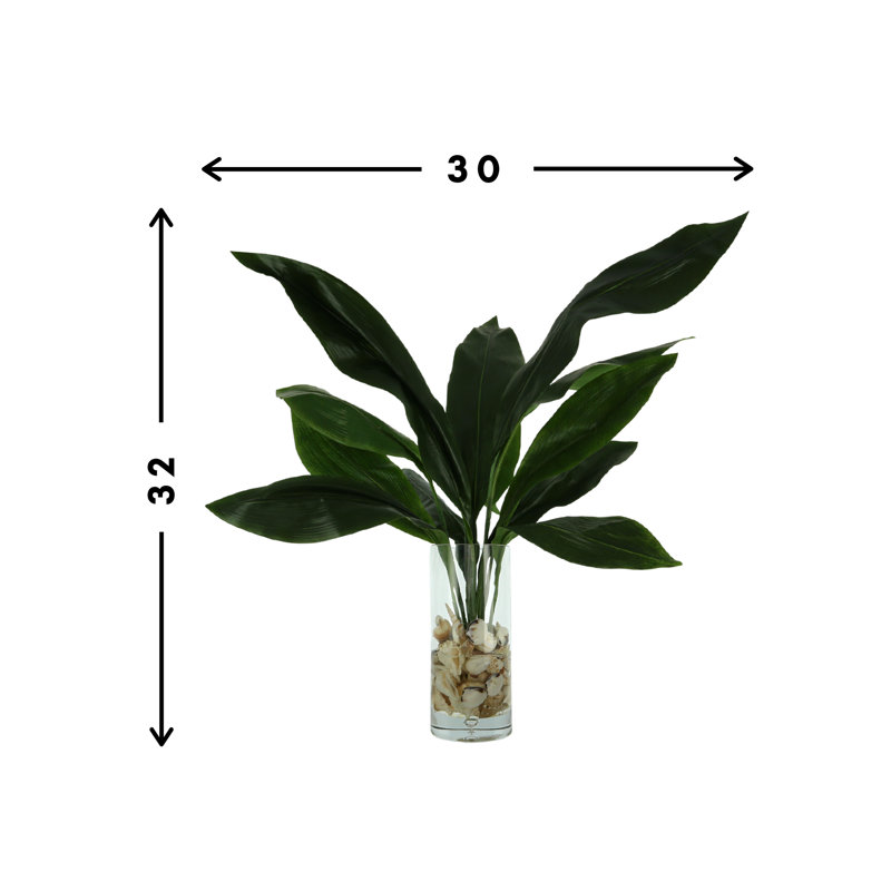 Rockwood Faux Aspidistra Plant in Glass Vase
