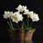 Barrientos ORBS 4" Set of 6