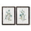 Linen Botanical III - ensemble de 2 reproductions d'art-1345068795-1345068788-1345068775