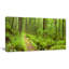 «Lush Forest Path Columbia River», reproduction de photo sur toile tendue-18273298-33308370