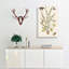 Butterflies & Flowers by Mark Catesby - Wrapped Canvas Painting-55314085