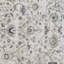 Tapis oriental en polypropylène tissé à la machine en crème / bleu Aldonja-523243286