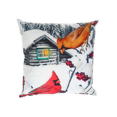 Housse et insert de coussin en velours Cardinal Couple Square