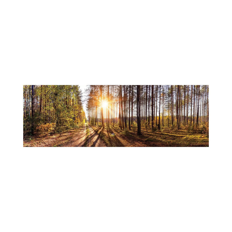 Sunny Day In Forest Panorama - Wrapped Canvas Panoramic Print, 152.4 cm H x 50.8 cm W x 1.91 cm D