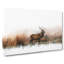 Deer Stag in the Fog in Abstract - Wrapped Canvas-55314498