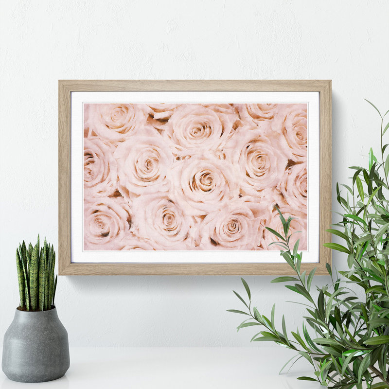 Wall of Pink Roses - Picture Frame Graphic Art Print, 24cm H x 33cm W x 2cm D, Oak Framed